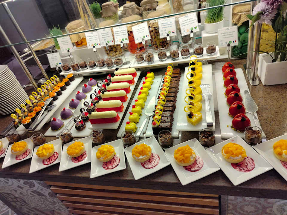 Gastro JAZ Elite Casa del Mar Beach