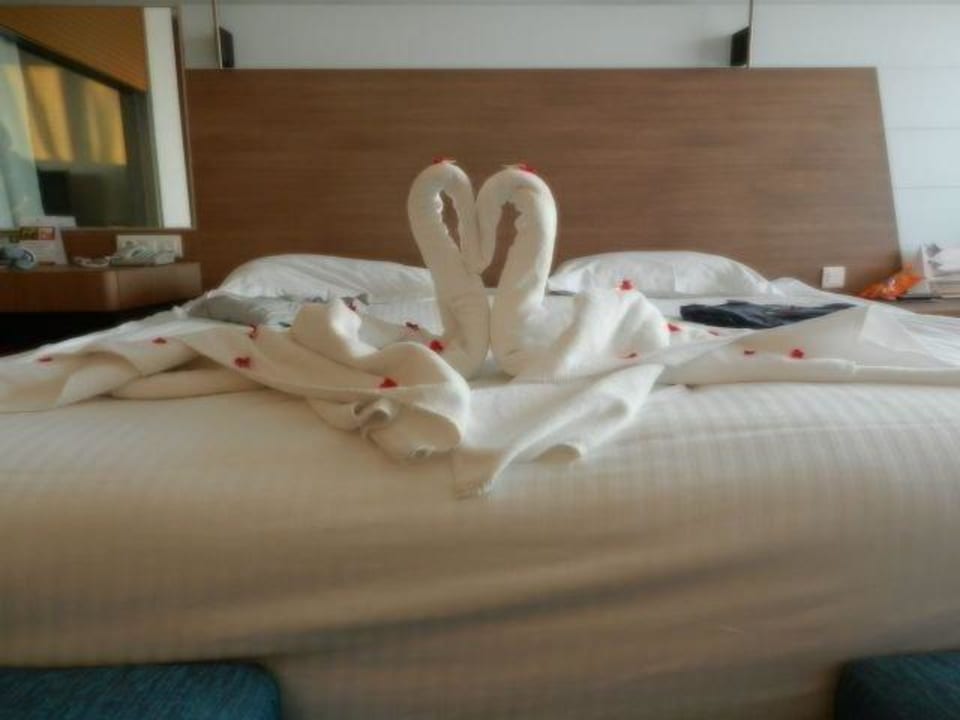 Schwäne auf dem Bett Concorde De Luxe Resort