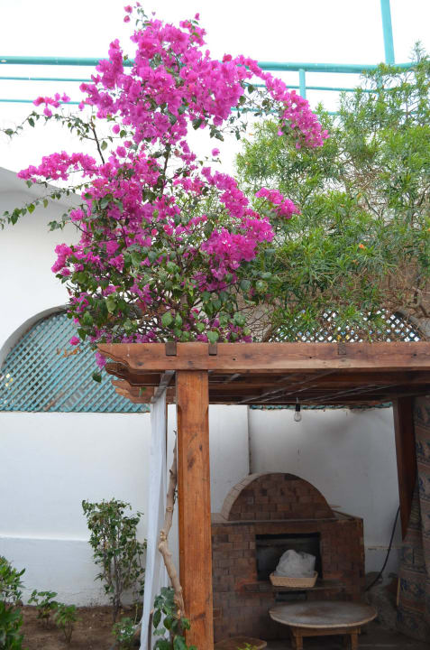 Печь для свежих лепешек Shams Safaga Resort