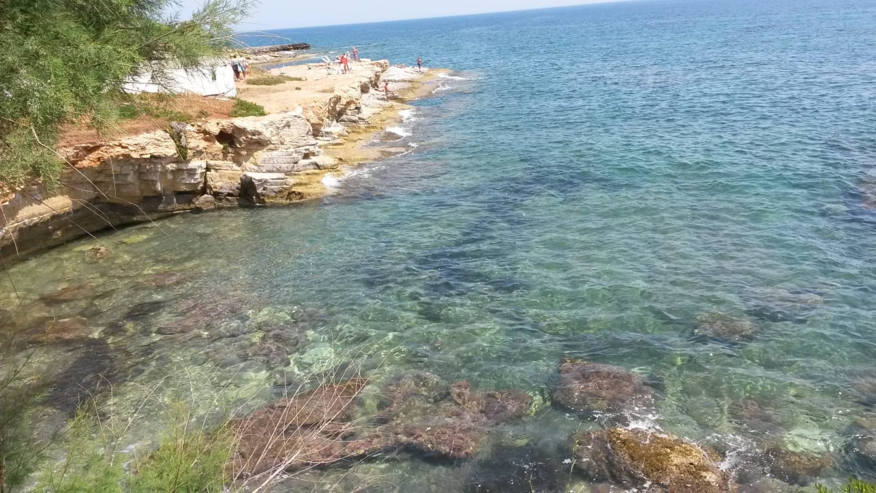 Hotel Elmi Elmi Suites