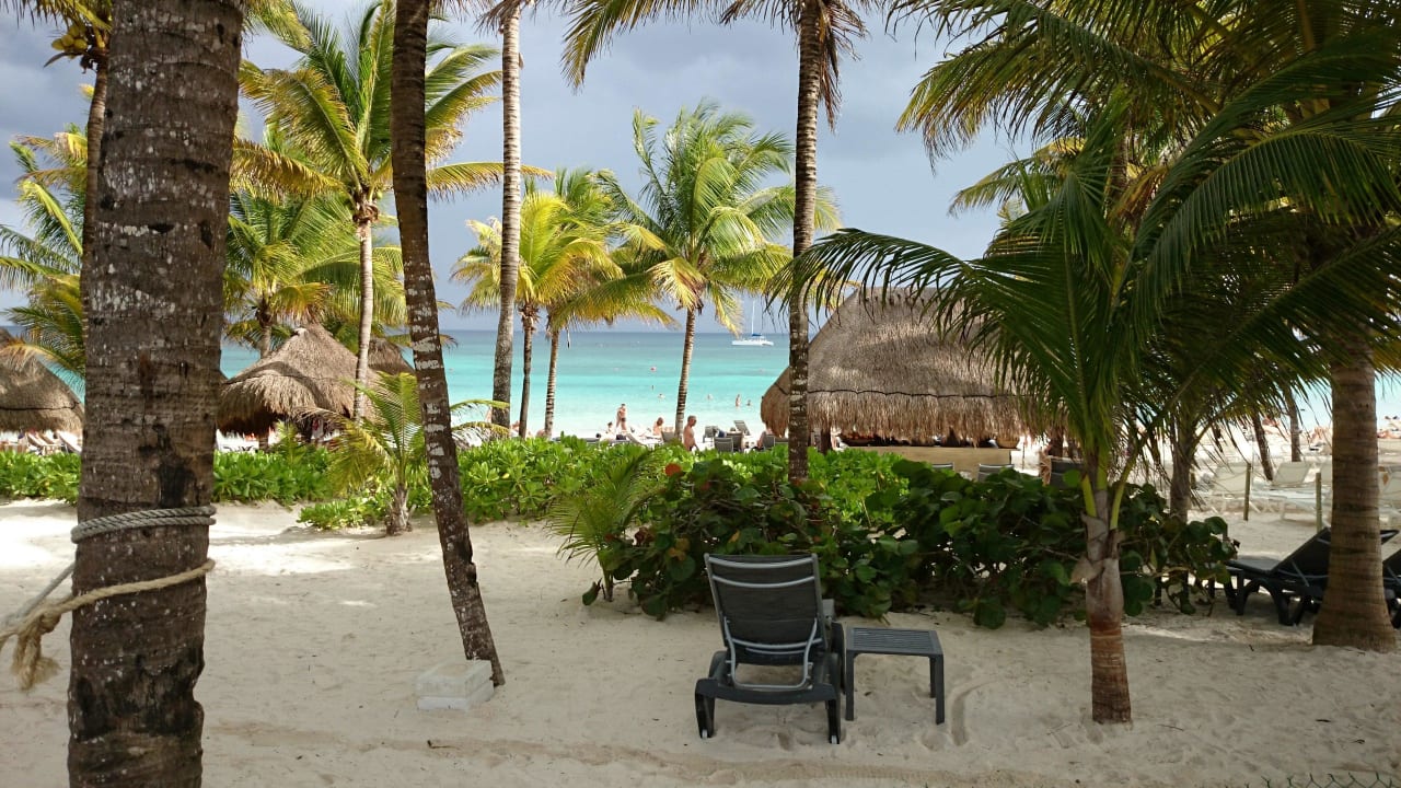 Vom Poolbereich zum Strand Catalonia Royal Tulum Beach & Spa Resort - Adults only