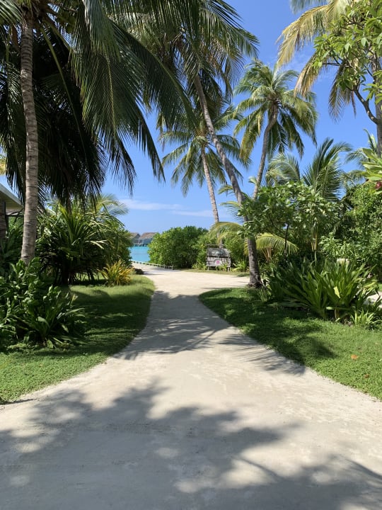 Ausblick Kuramathi Maldives
