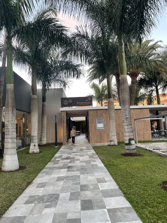 Gartenanlage Hotel Riu Palace Oasis