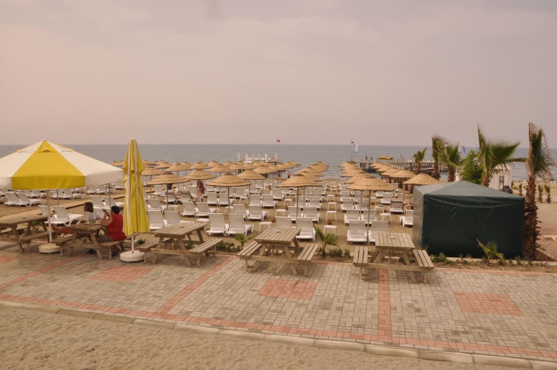 Strand Dizalya Palm Garden