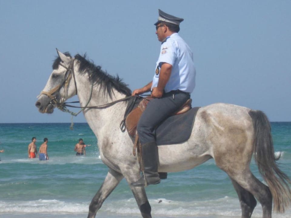 Słoneczny patrol Mahdia Palace Thalasso