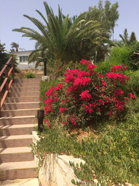 Gartenanlage Marina Playa Suite Hotel