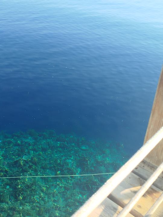 Strand Pickalbatros Sea World Resort - Marsa Alam