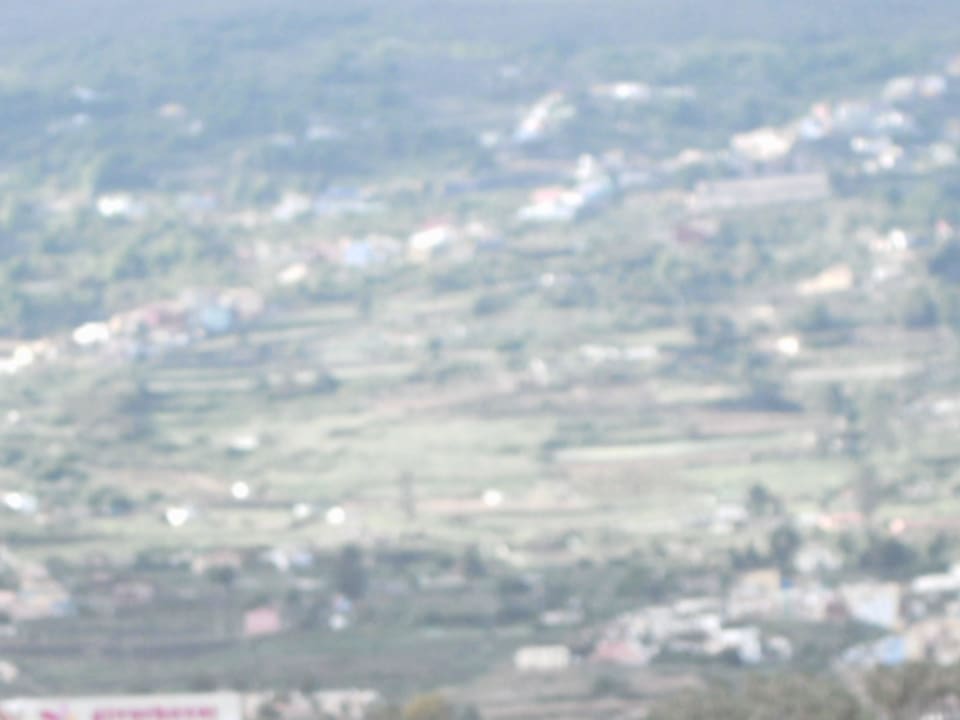 Ausblick von Zimmer 412 auf das Orotavatal Apartments Pez Azul