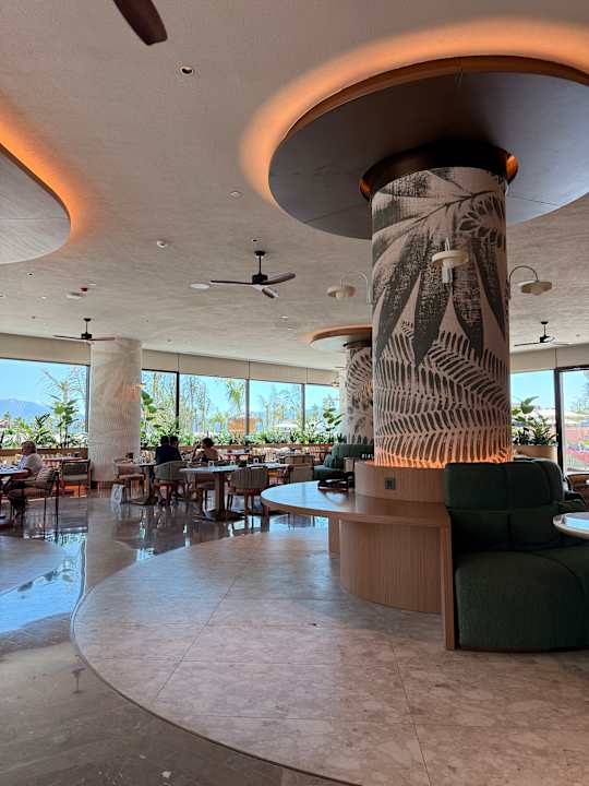 Gastro XO Cape Arnna