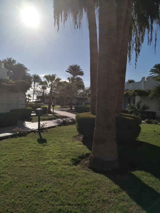 Gartenanlage Shams Safaga Resort