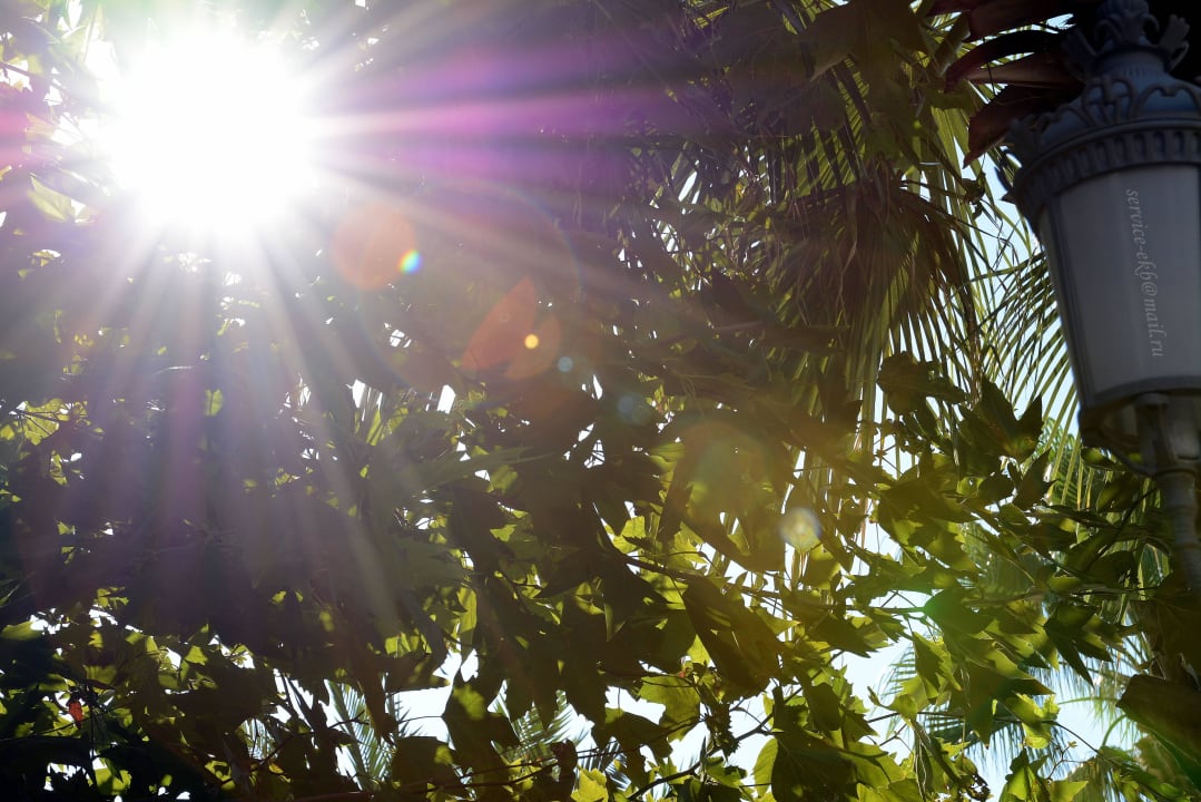 Delphin Imperial Hotel Delphin Imperial