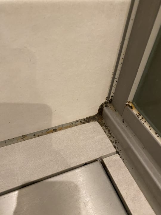 Zimmer Center Parcs Park Allgäu