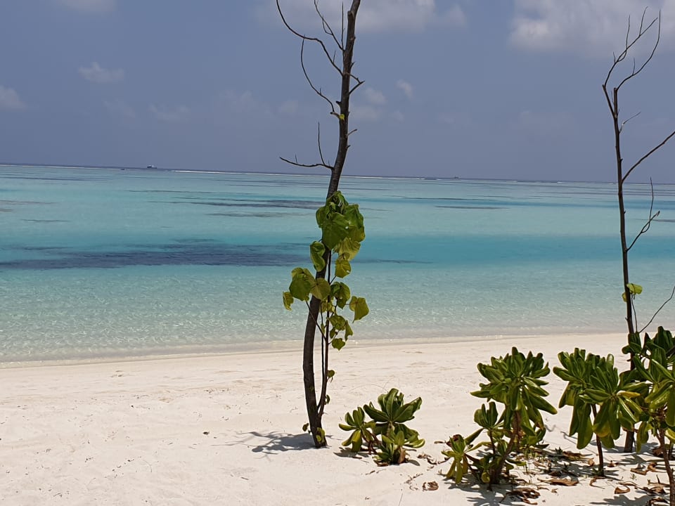Strand OZEN LIFE MAADHOO