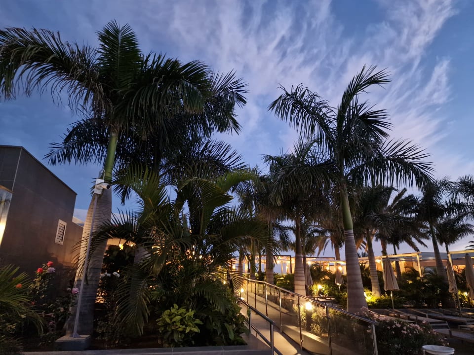 Gartenanlage Hotel Riu Palace Maspalomas Adults Only