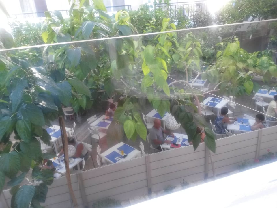 Der wunderschöne Innenhof Dimitrios Beach Hotel