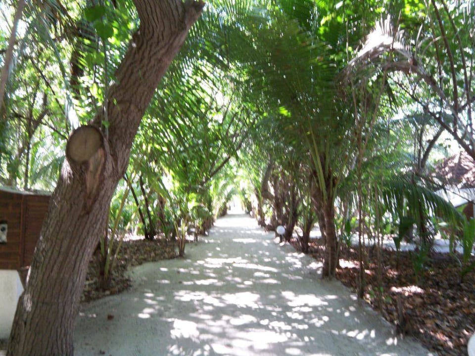 Weg vom Wasserbungi zum Restaurant Veligandu Maldives Resort Island