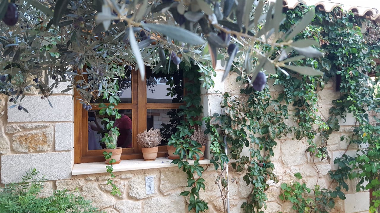 Griechisches Frühstücksrestaurant Cactus Royal