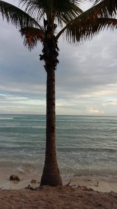 Strand & Meer Sandos Caracol Eco Resort & Spa Select Club Adults only - All Inclusive