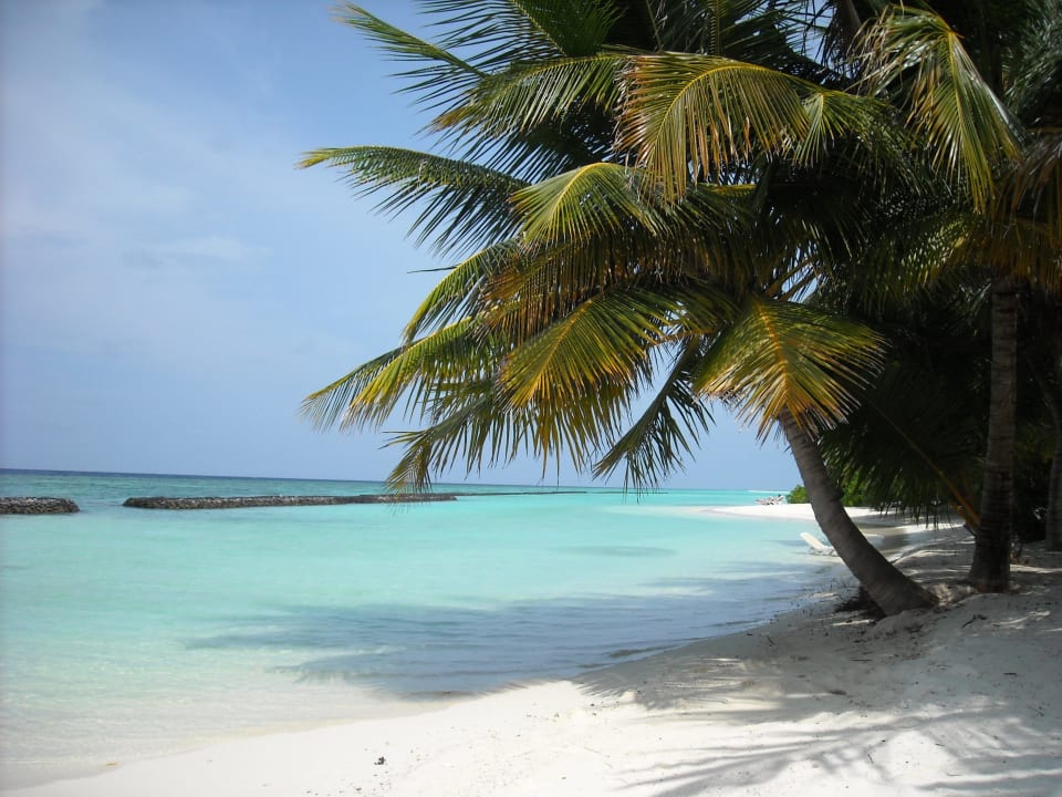 Beachblick auf Riffseite 05/2013 Kuramathi Maldives