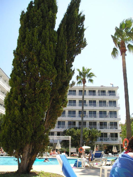 Poolasnlage JS Hotel Sol de Alcudia