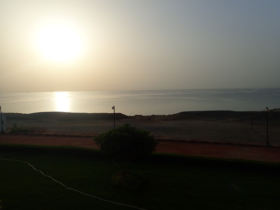 Ausblick Malikia Resort Abu Dabbab