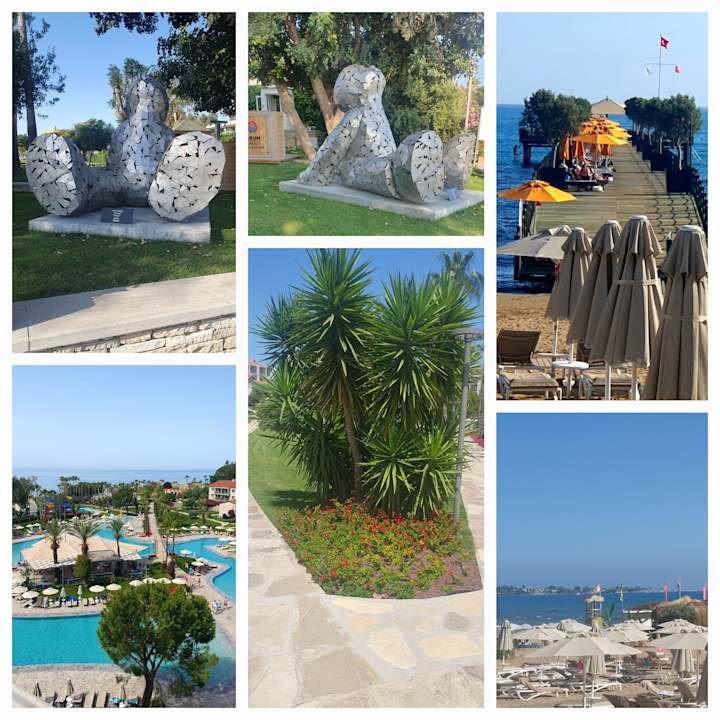 Zimmer Arum Barut Collection