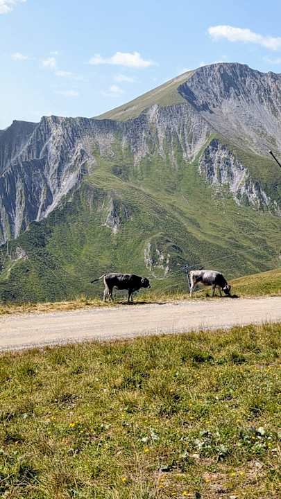 Ausblick Haus Tirol Appartments
