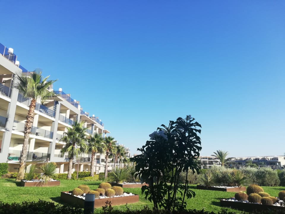 Ausblick Zafiro Palace Alcudia