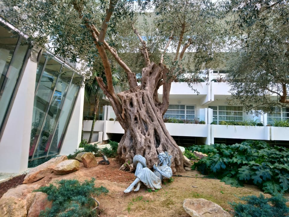 Außenansicht allsun Hotel Bella Paguera