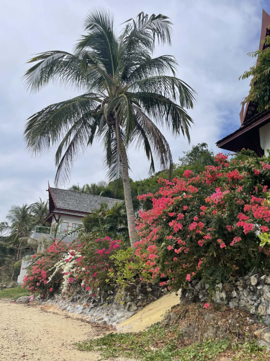 Strand Hotel By The Sea Residence