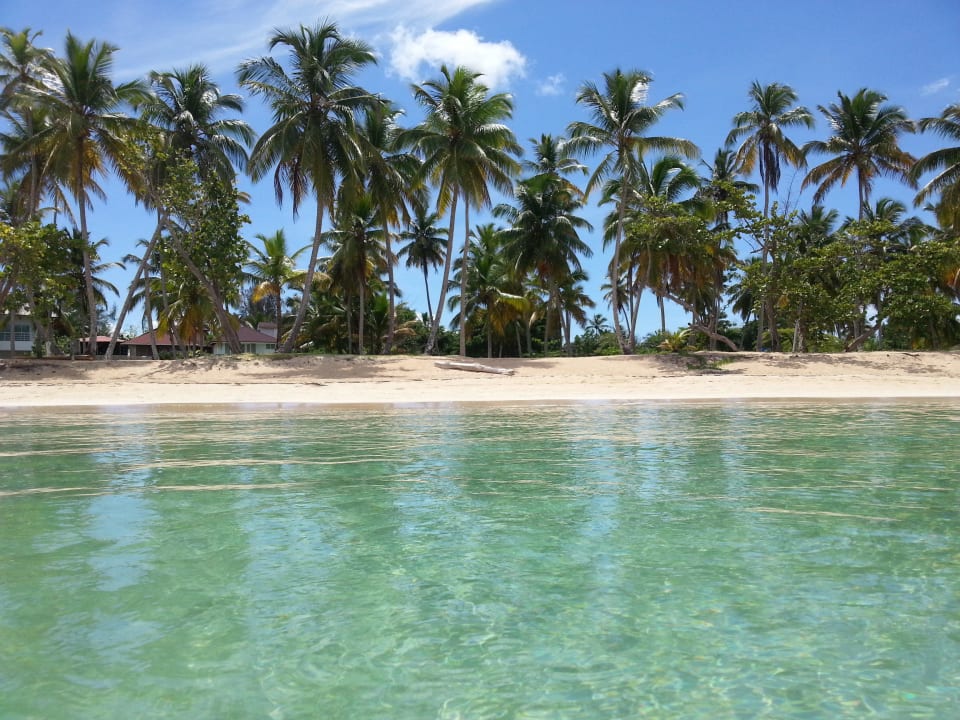 Karibik  Bahia Principe Grand El Portillo