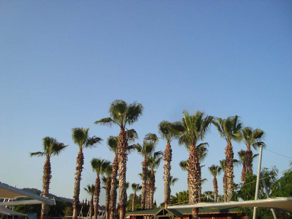 View from swimming pool area Limak Limra Hotel & Resort