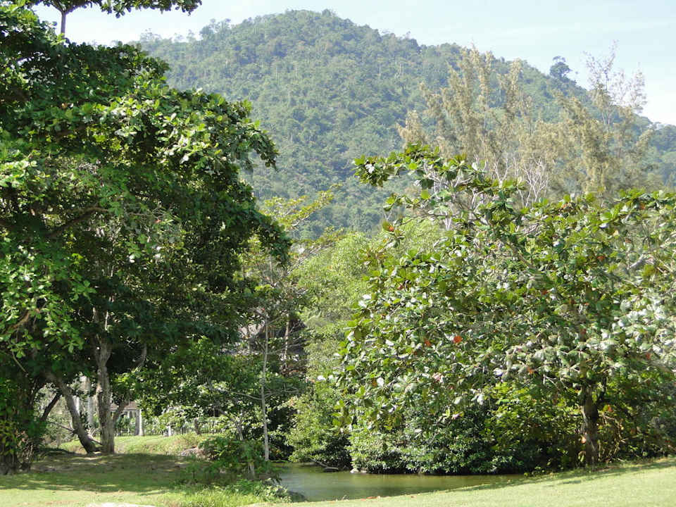 Hotel Nexus Resort Karambunai Hotel Nexus Resort Karambunai