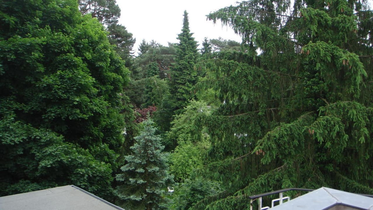 Blick von der Terrasse Landhaus Schlachtensee