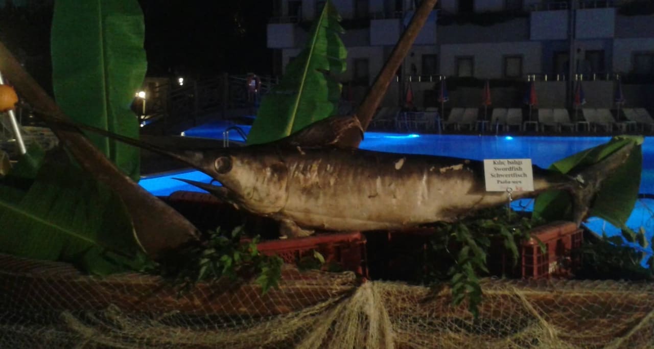 Abendessen Monachus Hotel & Spa