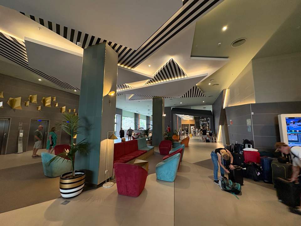 Lobby Hotel Riu Playa Park