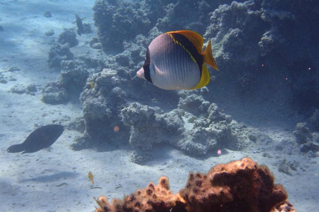 Sport & Freizeit Cleopatra Luxury Resort Makadi Bay