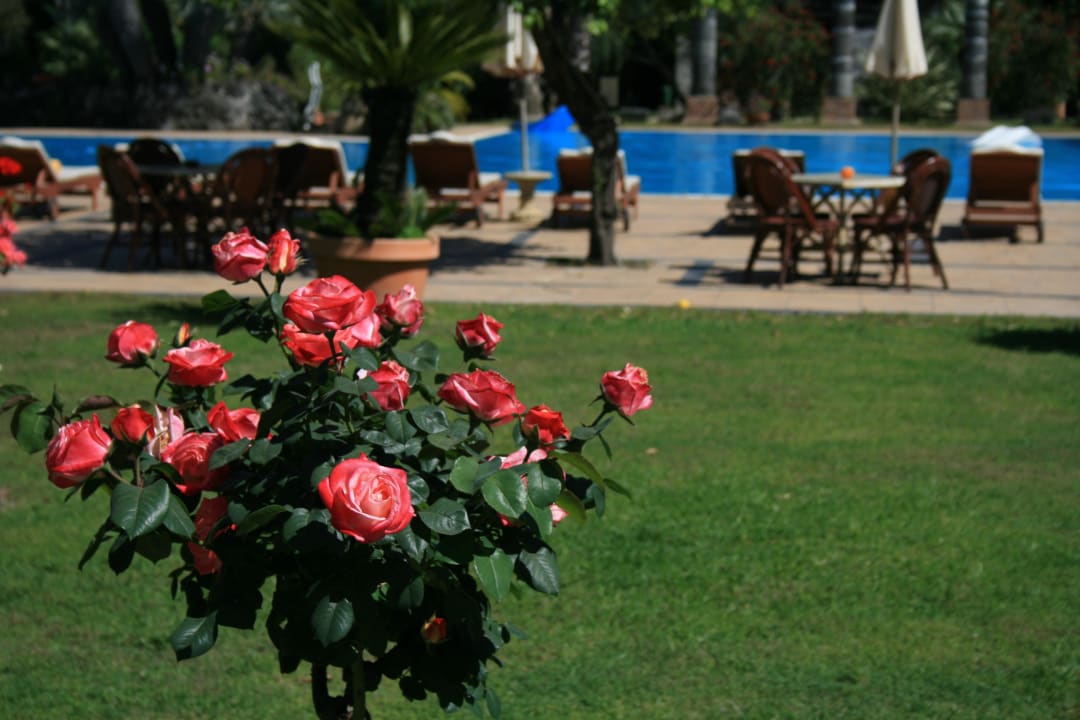 Pool garden Castello di San Marco Charming Hotel & Spa