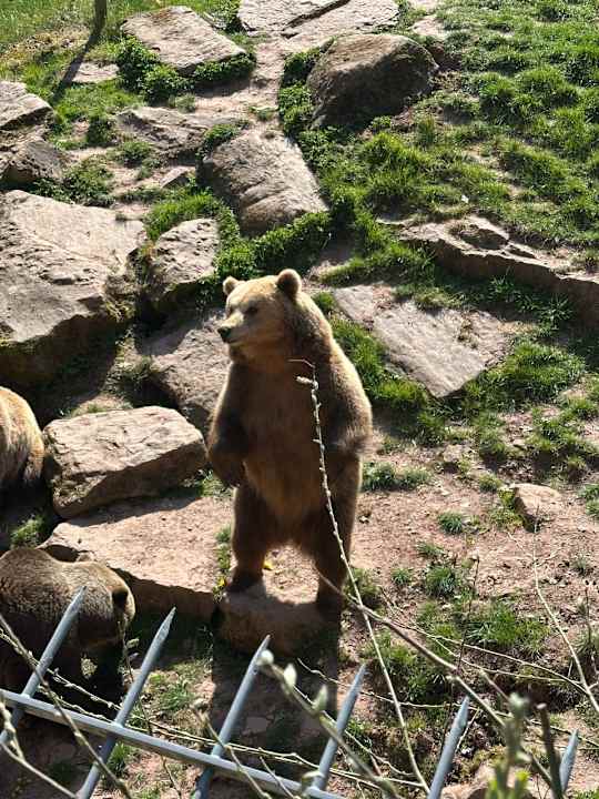 Sonstiges Natur-Resort Tripsdrill