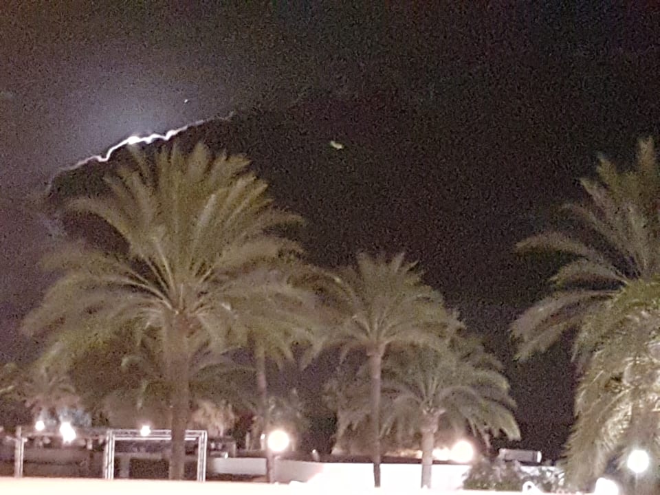 Ausblick Aparthotel Playa Dorada