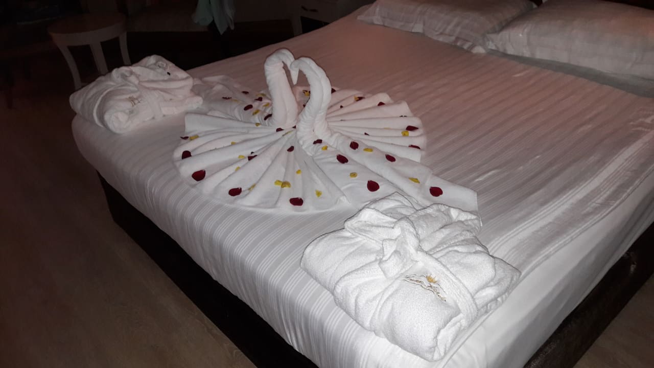 Zimmer Well Palace Side