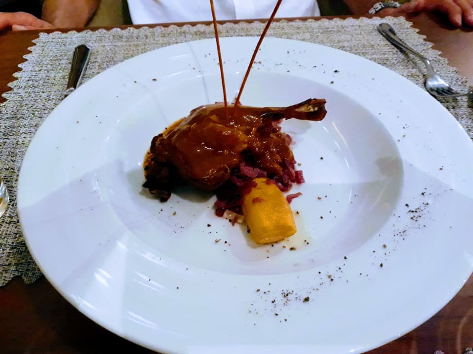 Gastro Acanthus Cennet Barut Collection