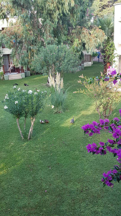 Gartenanlage VONRESORT Golden Beach