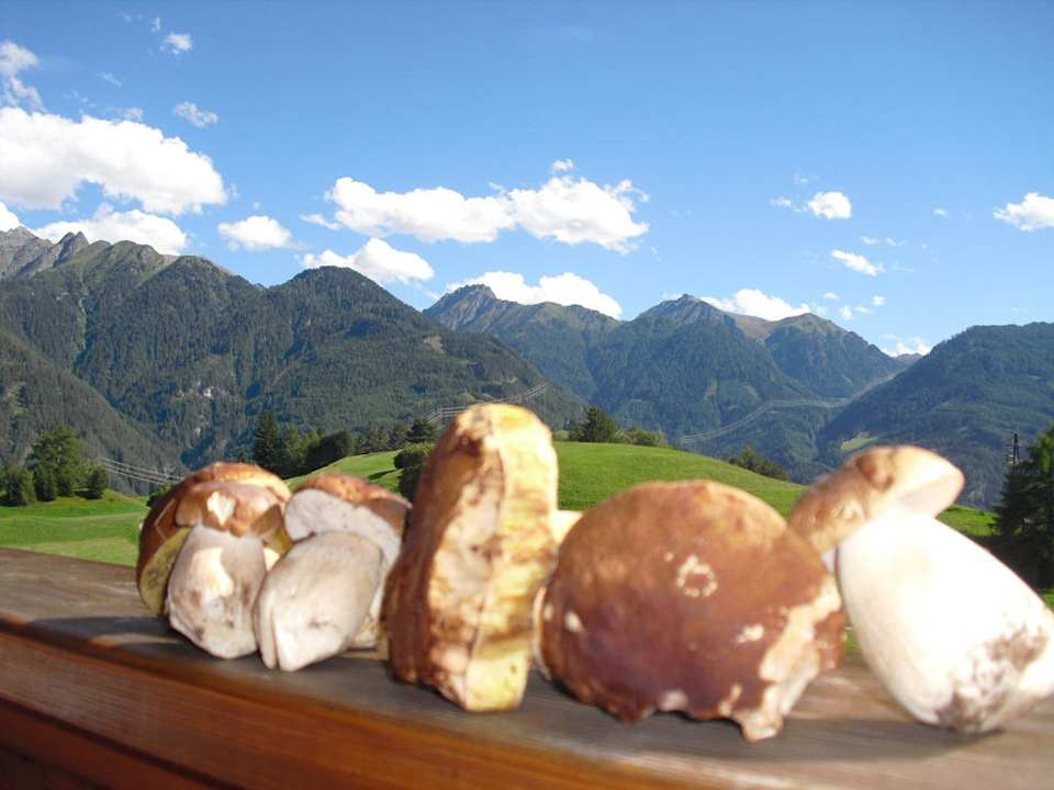 Berge und Pilze  Ferienwohnungen am Matinesweg, Serfaus