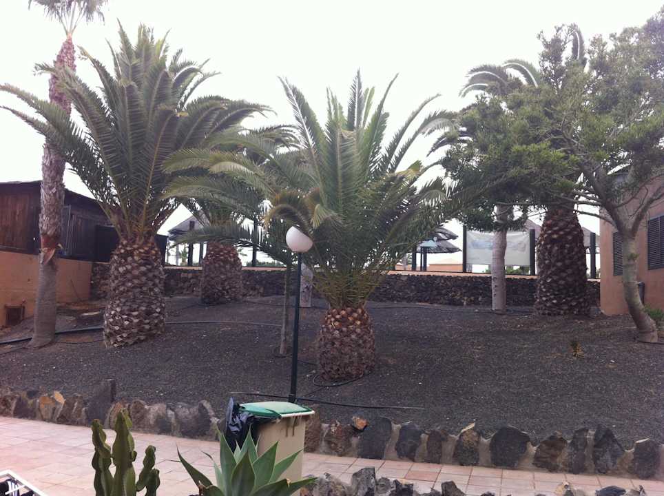 Garten Hotel Oasis Dunas