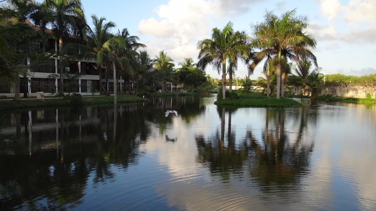 Paradiesischer Innenteich Villas Bavaro Resort & Spa