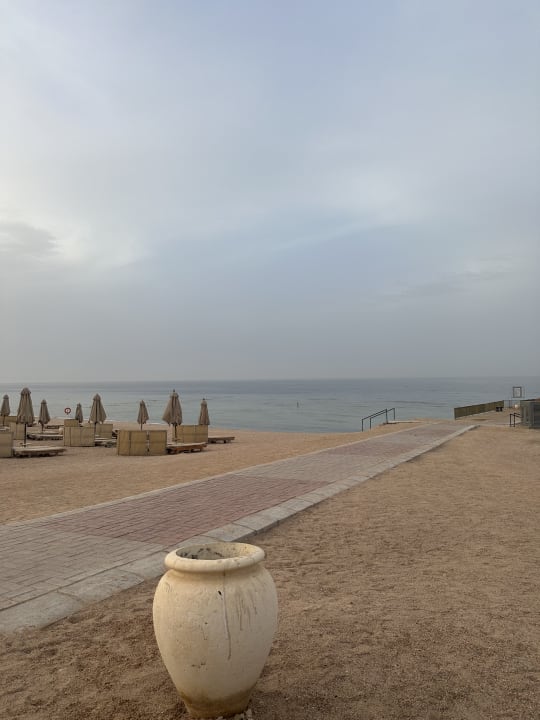 Strand Serenity Alpha Beach