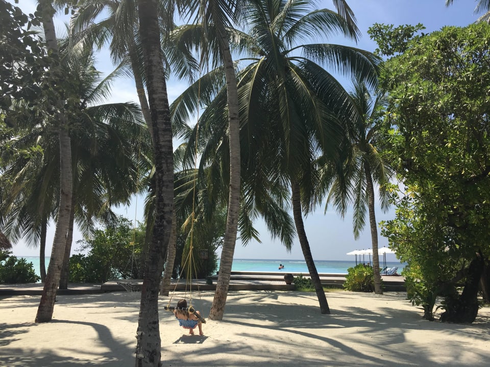 Inselrundgang Summer Island Maldives