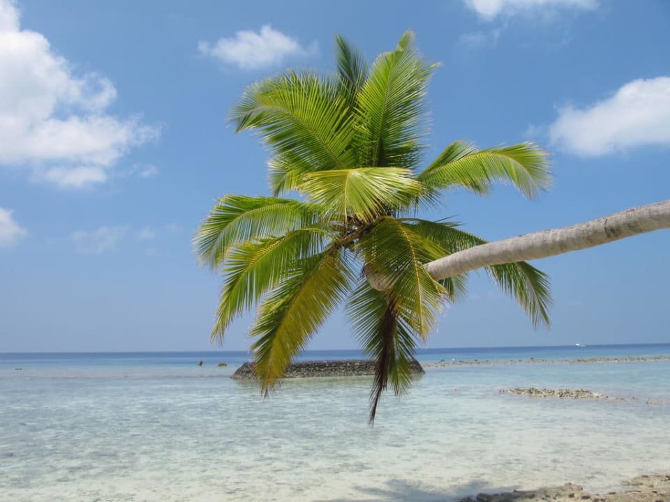 Riffseite Kuramathi Maldives