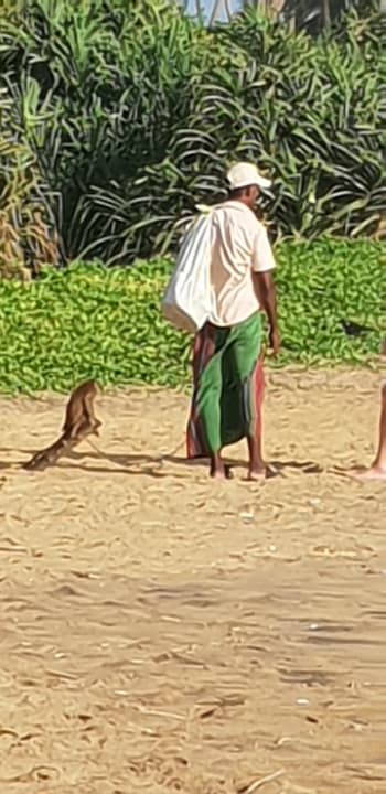 Strand Royal Palms Beach Hotel
